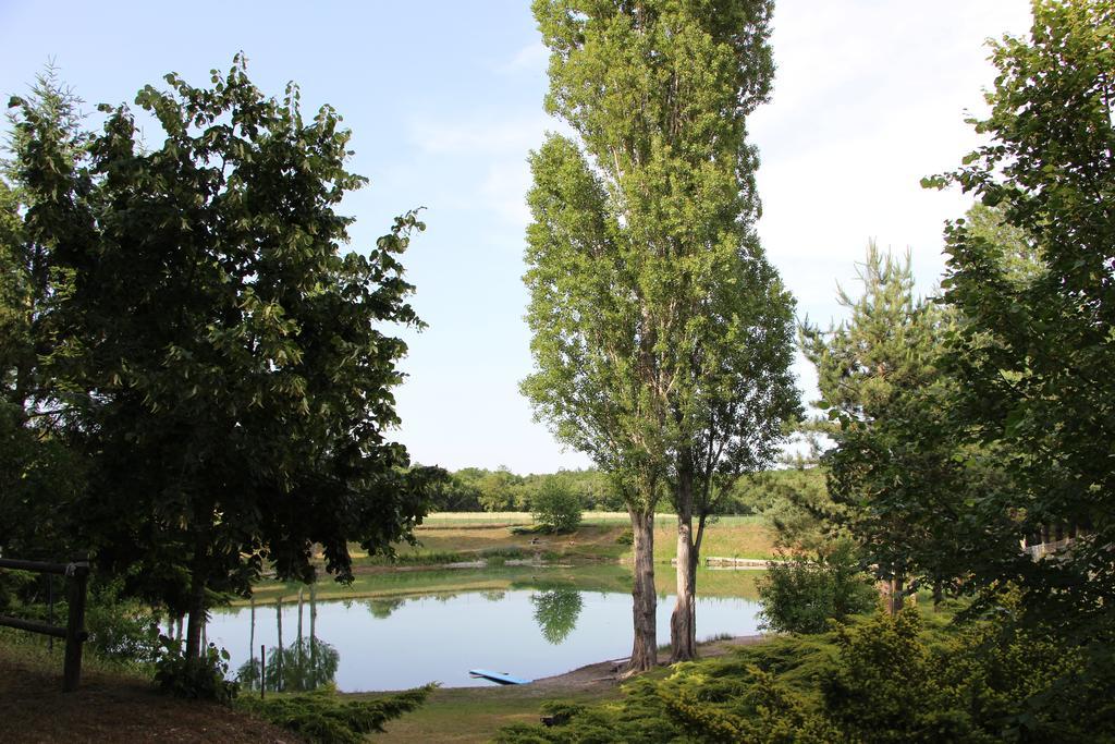 Вілла La Cle Des Champs Biltzheim Номер фото